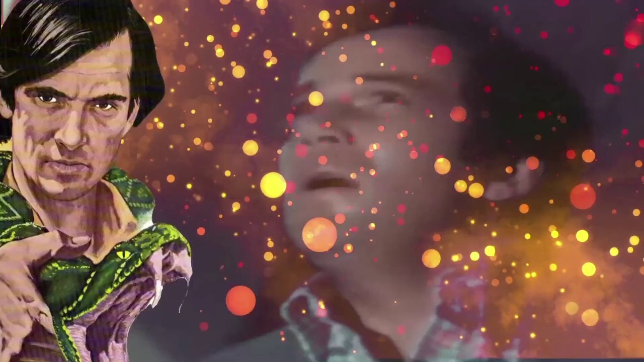 Blood, Guts and Sunshine: The History of Horror Made in Florida backdrop