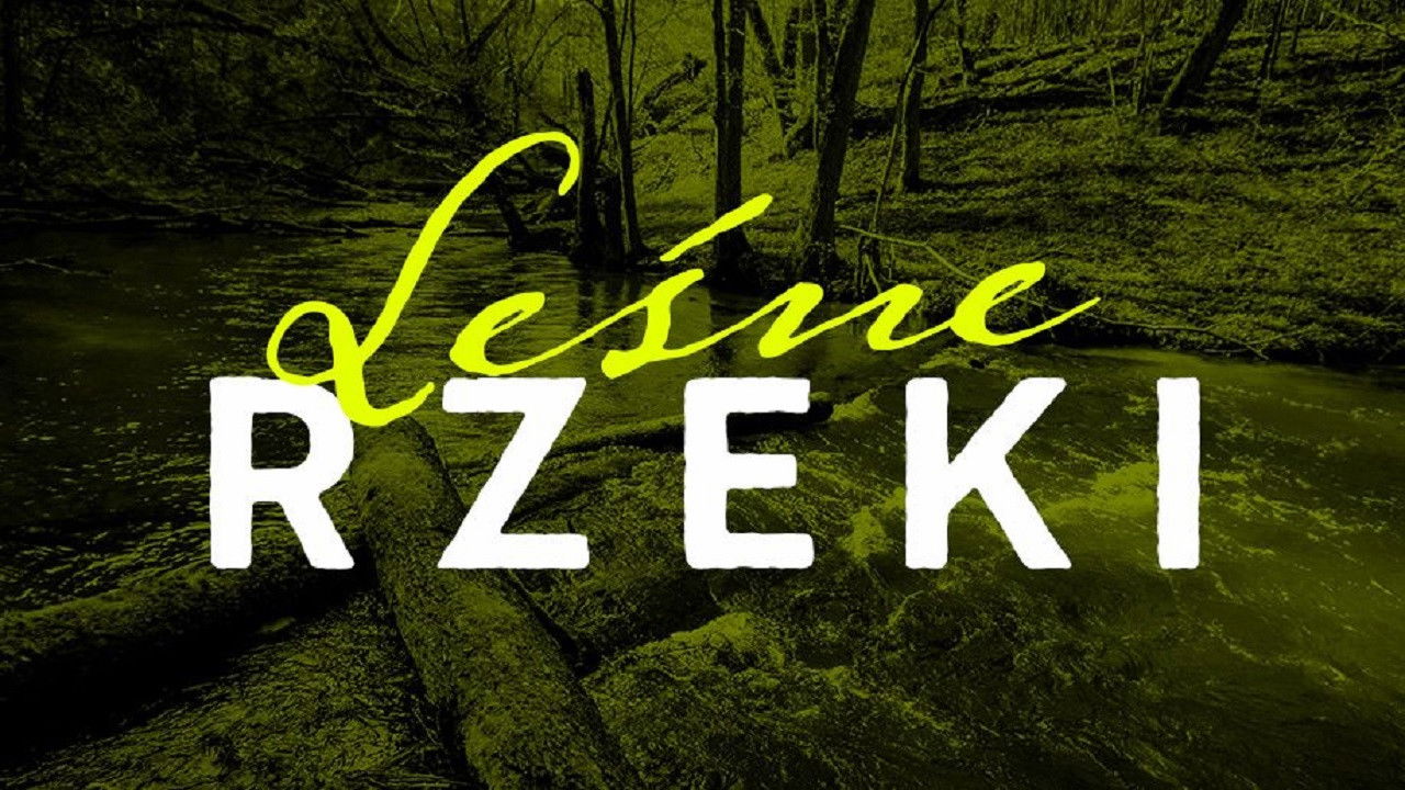 Leśne rzeki backdrop