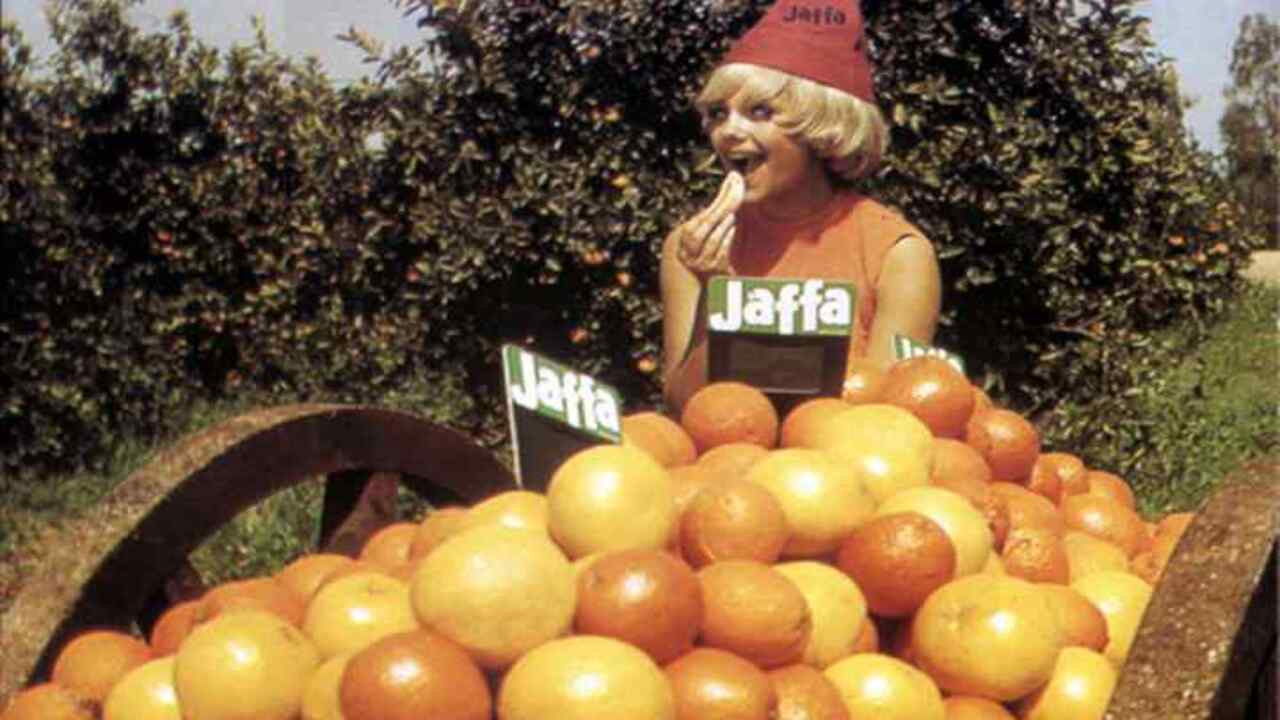 Jaffa: The Orange's Clockwork backdrop