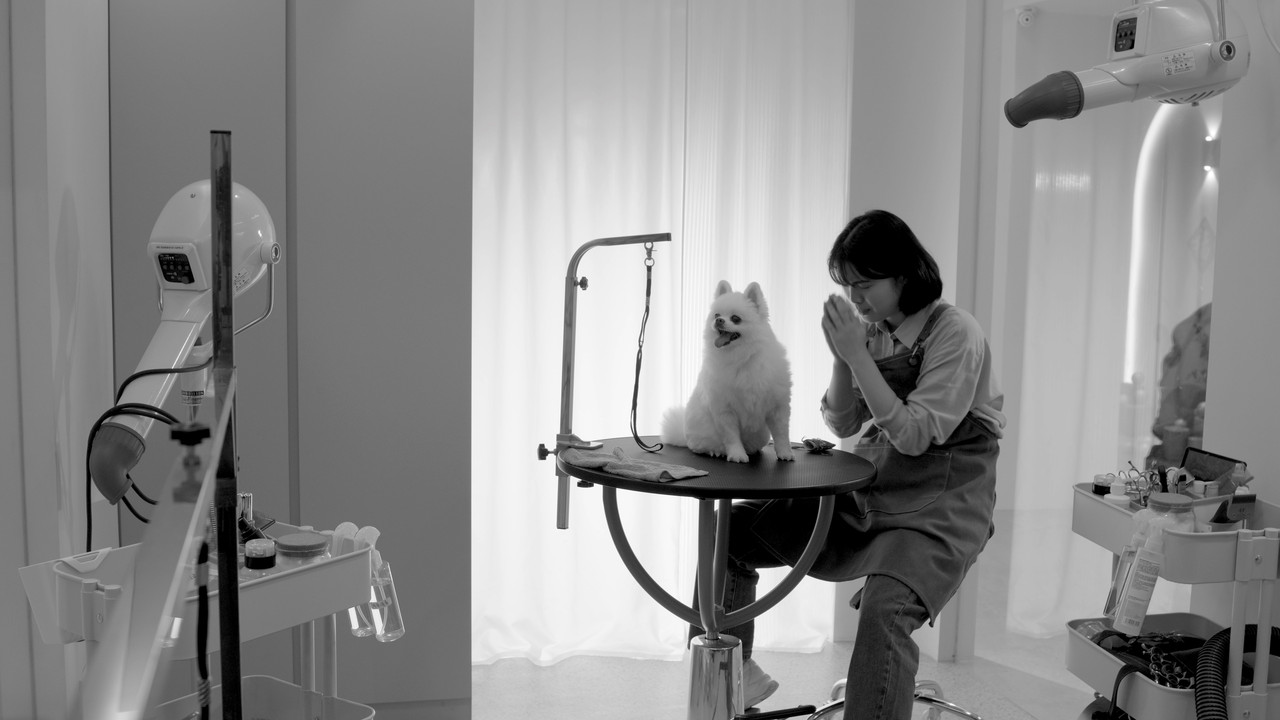 Good Dog's Life backdrop