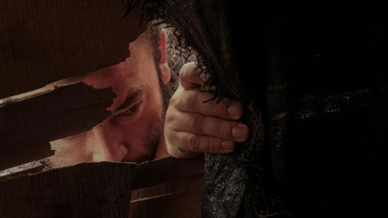 Searching for the Animal backdrop