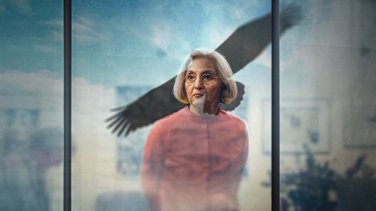 Searching for Sheela backdrop