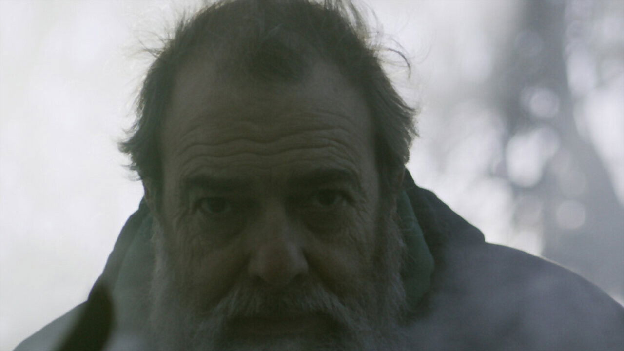 Smoke Between Trees backdrop