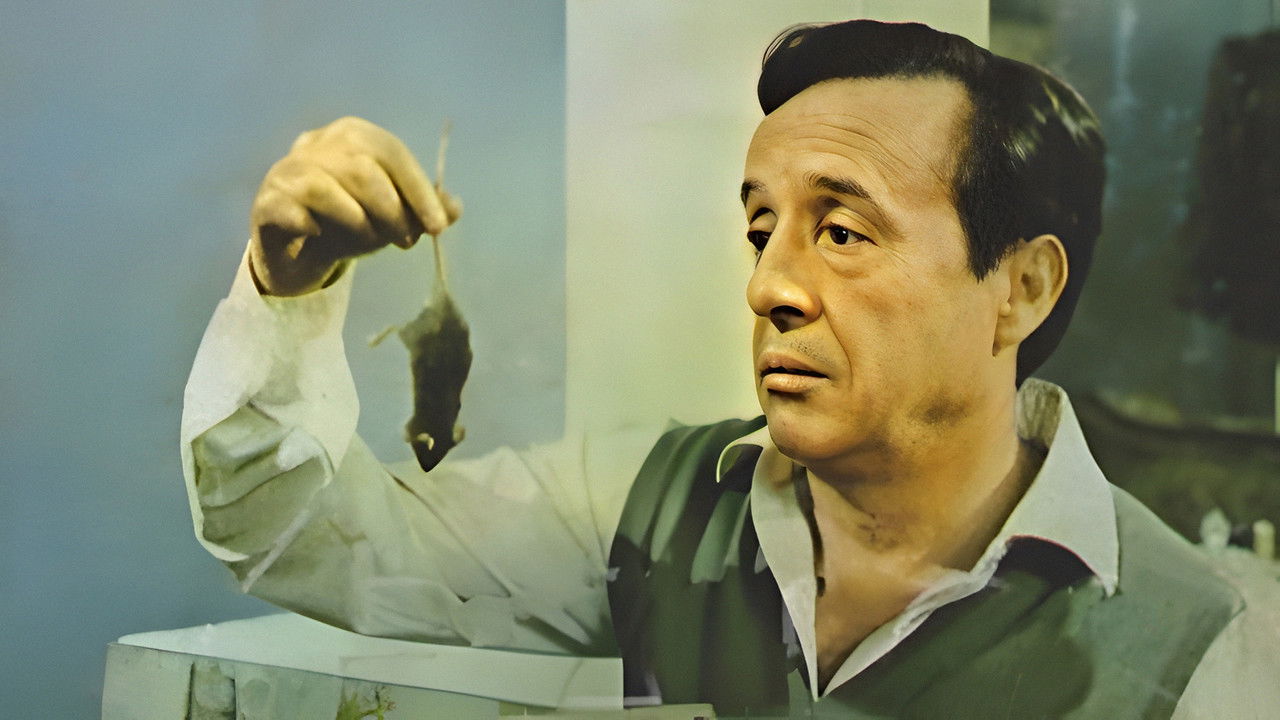 Don Ratón y Don Ratero backdrop