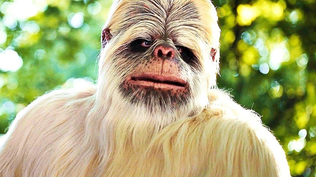 сНежный человек backdrop