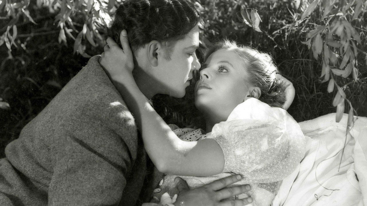 Yövartija vain… backdrop