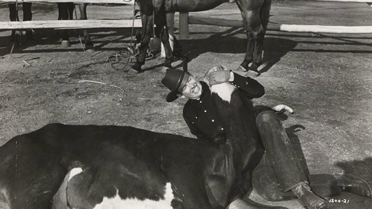 The Arizona Cowboy backdrop