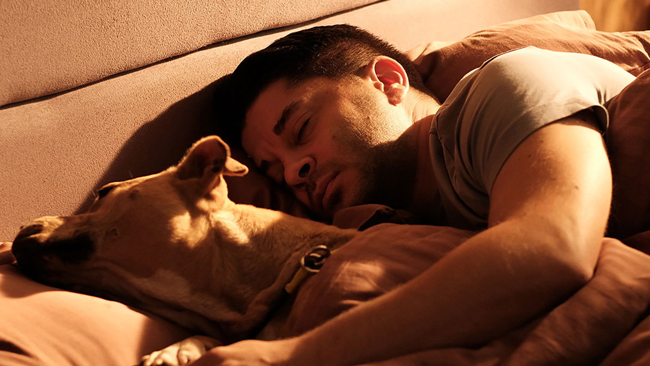 Dikkat Köpek Var backdrop