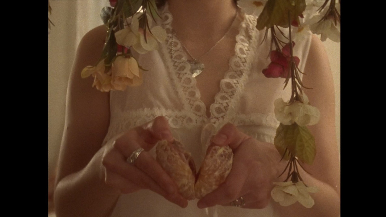 Métaphysique des sens backdrop