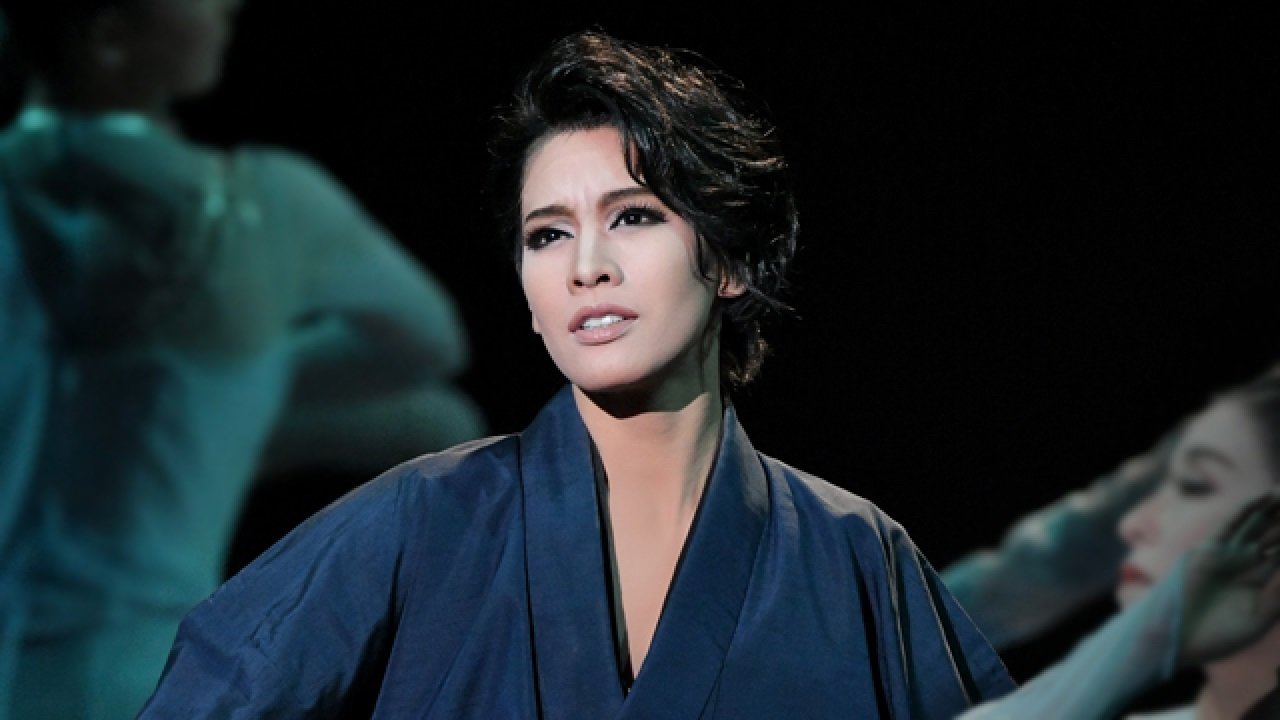 Dream Plover backdrop