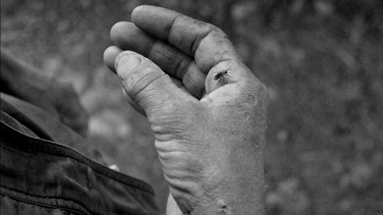 The Impact of the Moon backdrop