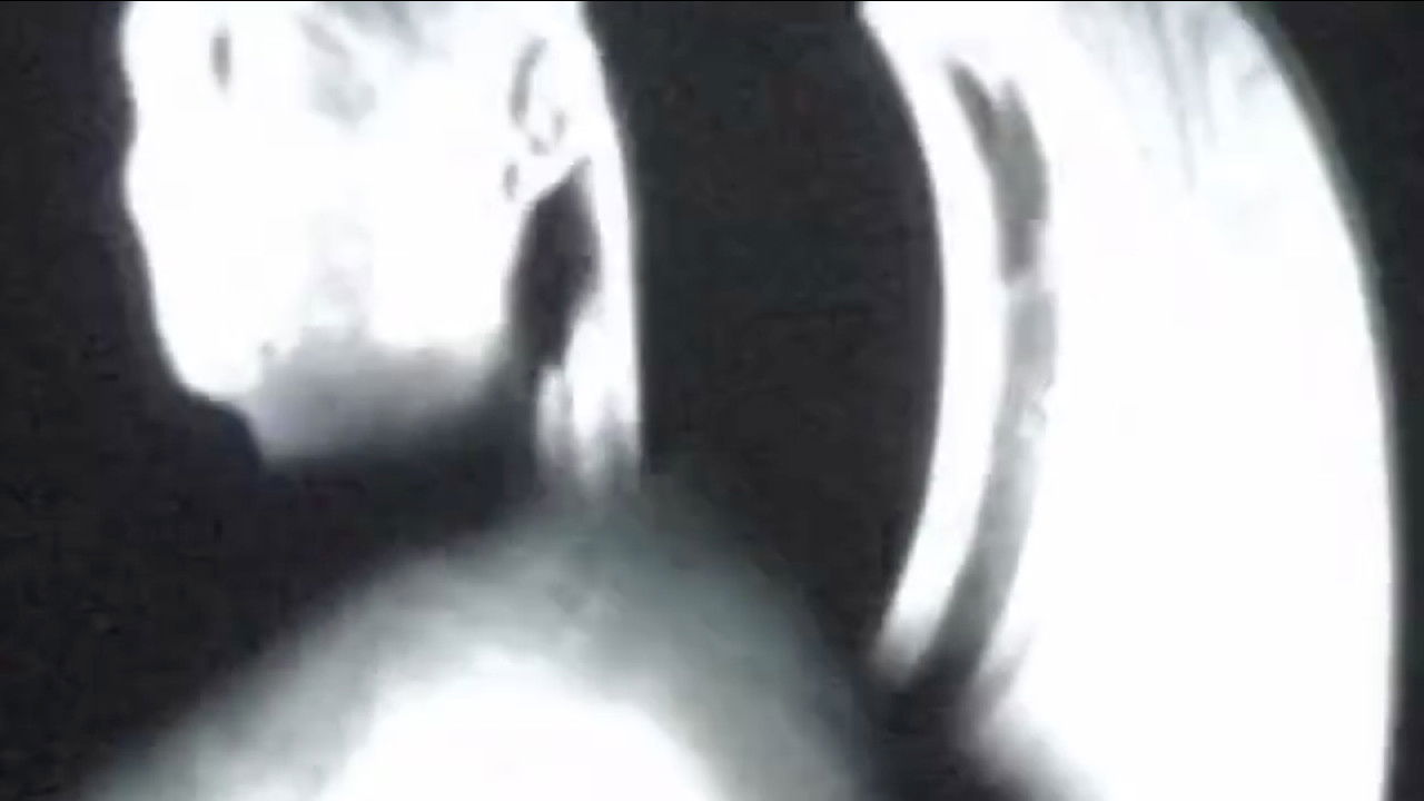 Kha Uebertragung - Les embaumées backdrop