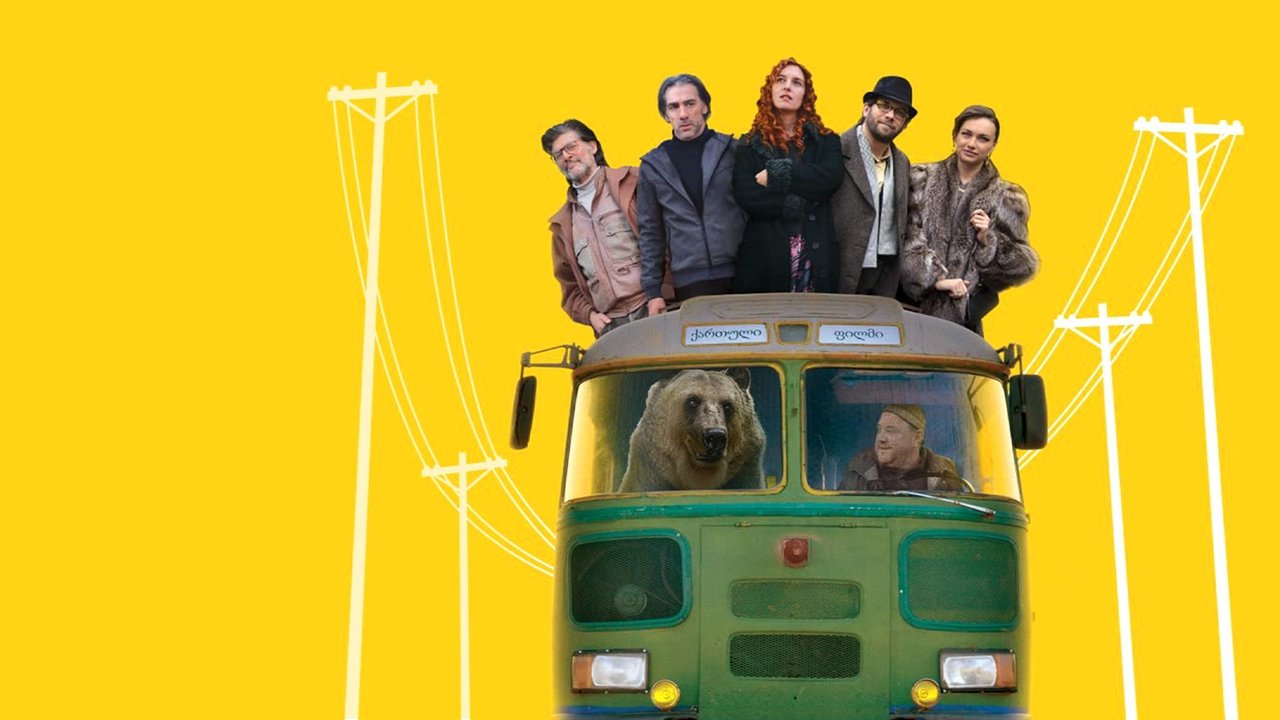 Chola the Bear backdrop