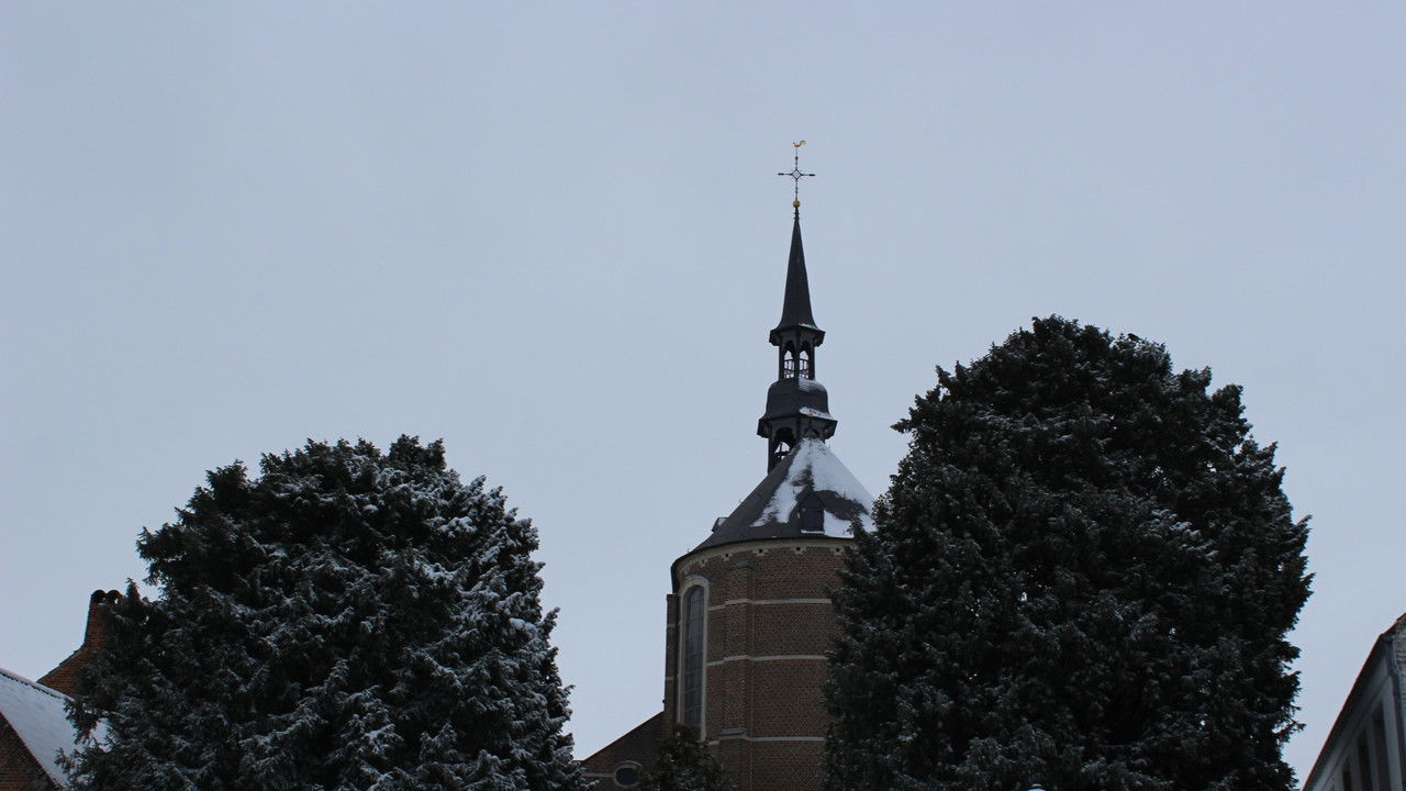 De Verboden Vrucht backdrop