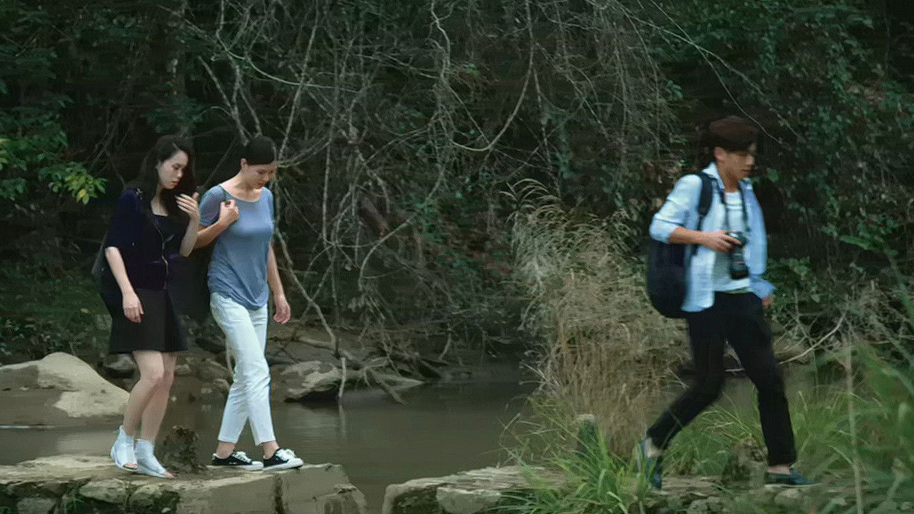 Favorite Begonia Flower backdrop