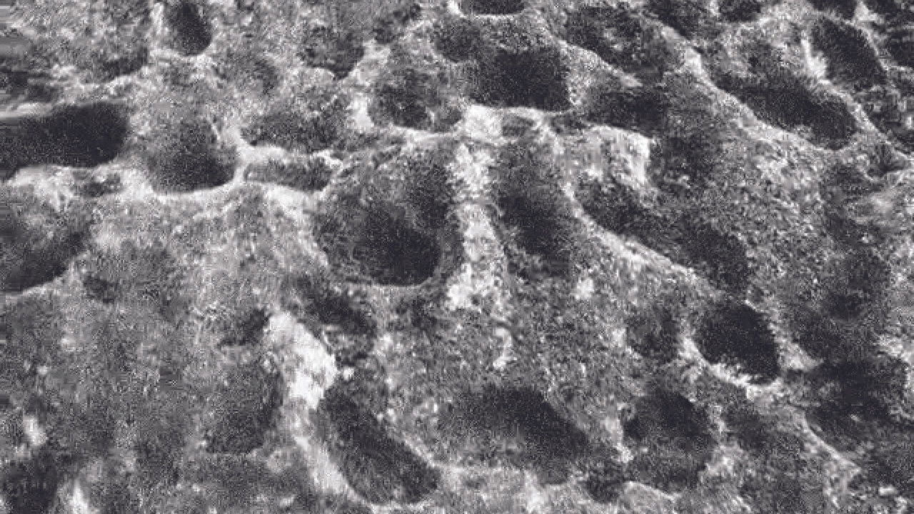 Requiem For A Hollow Man backdrop