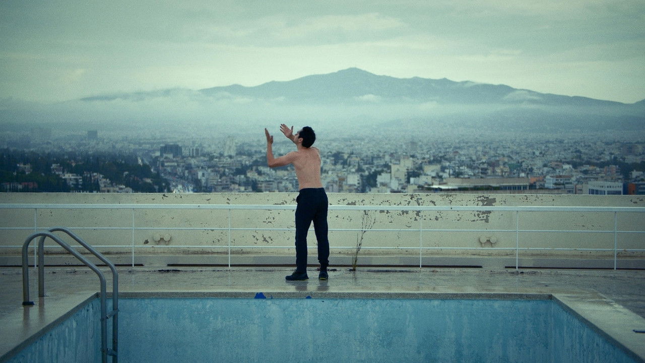 Birds (Or How to Be One) backdrop