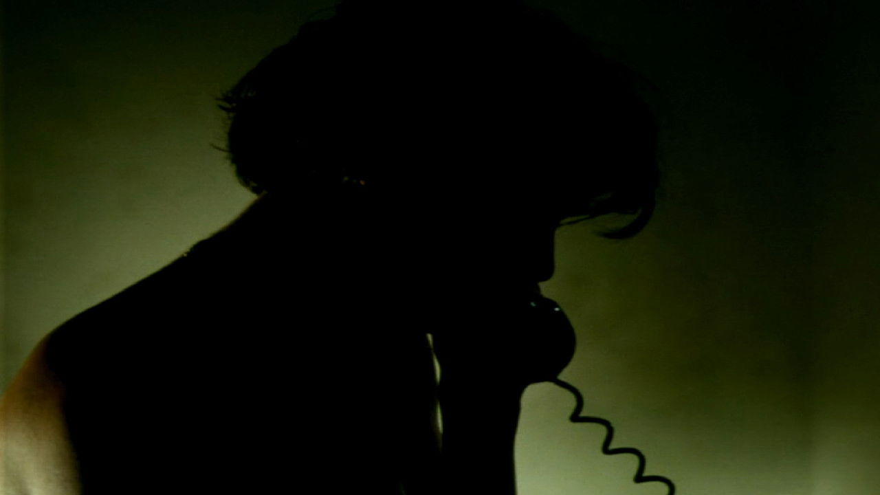 The Territory backdrop