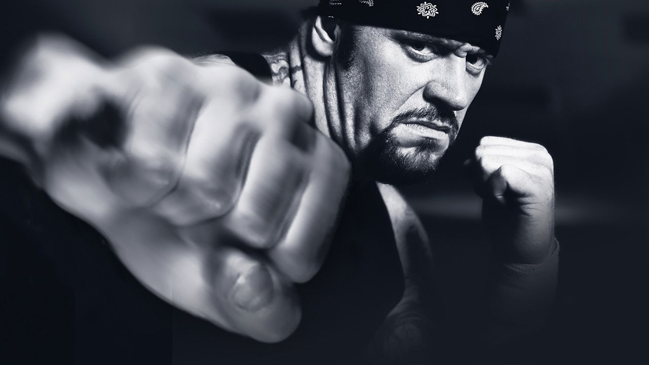 WWE Vengeance 2003 backdrop