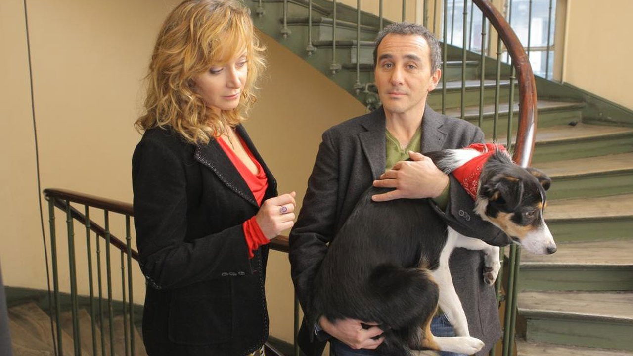 Un divorce de chien backdrop