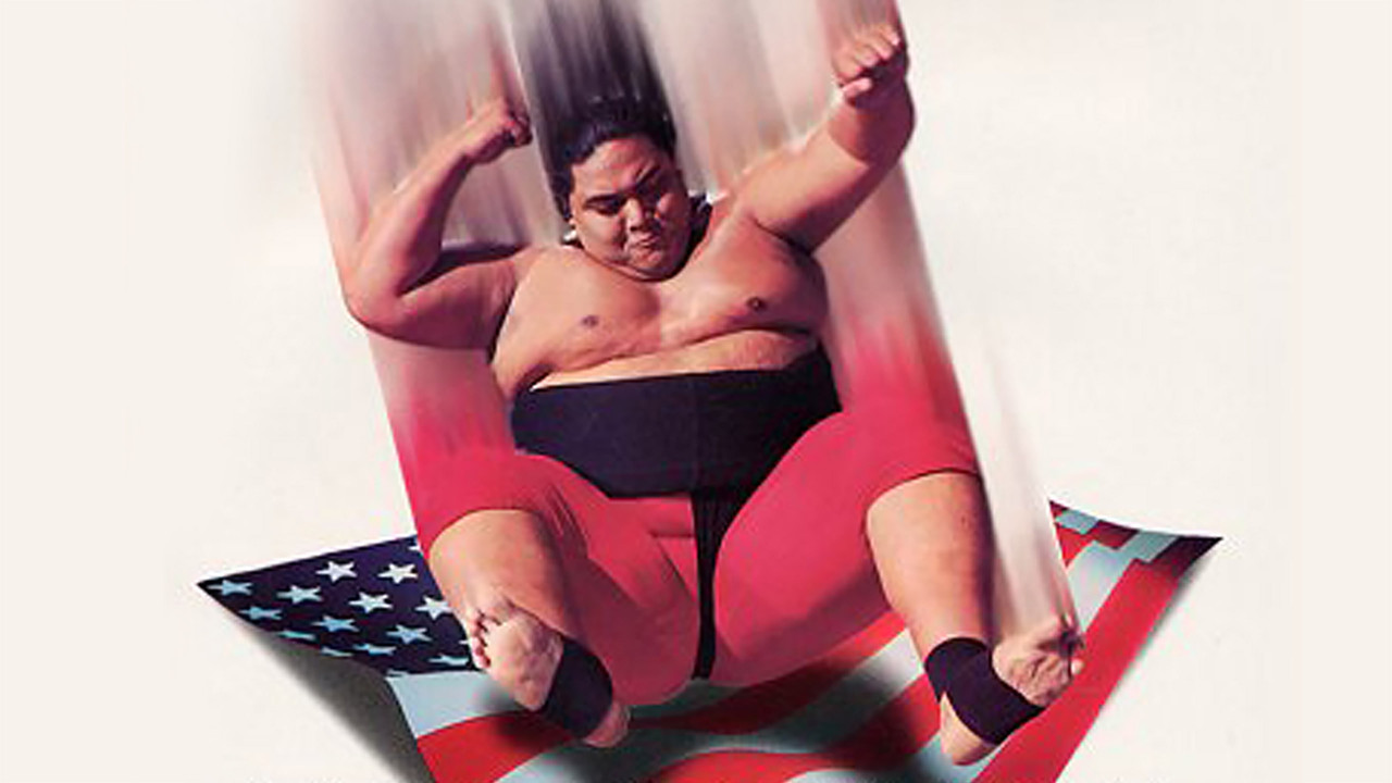 WWE SummerSlam 1993 backdrop