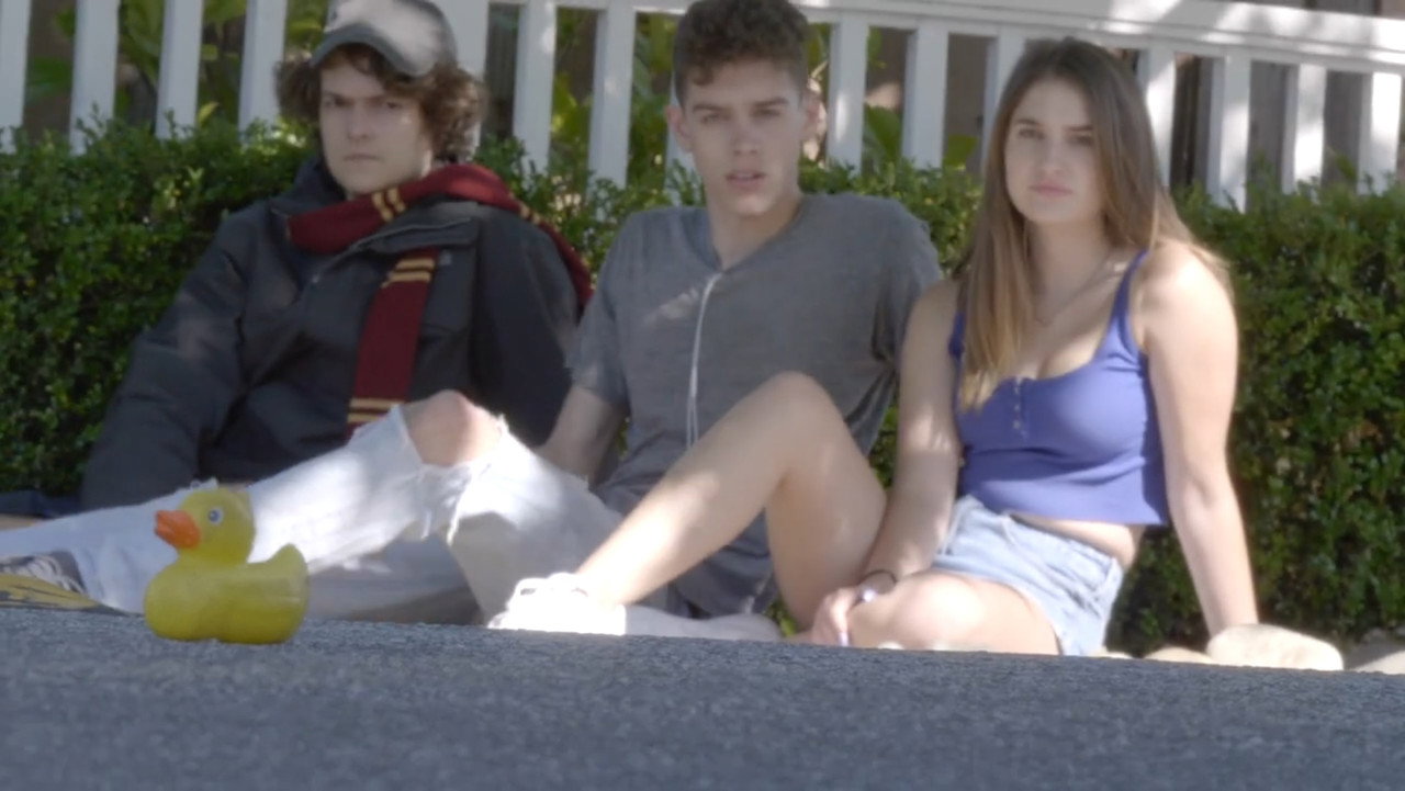 Birdwatching backdrop