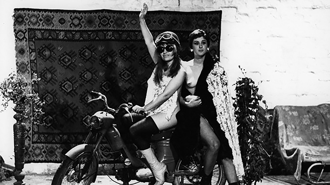 The Rats Woke Up backdrop