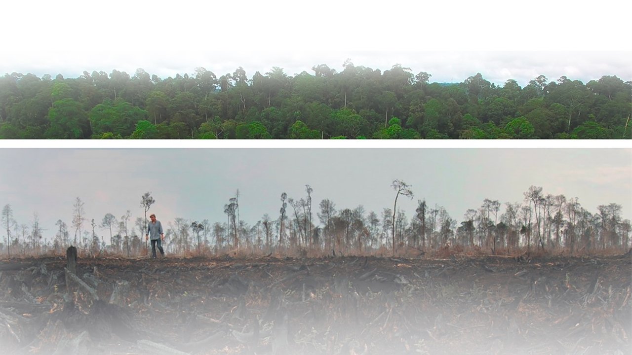 Die grüne Lüge backdrop
