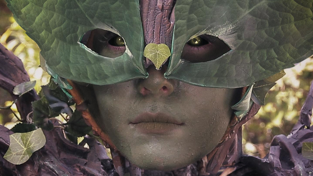 There's Something in the Woods backdrop