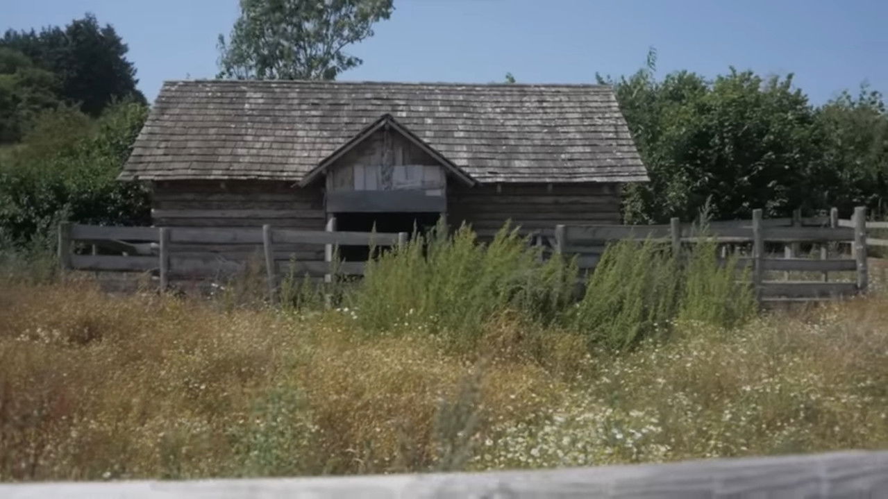 Þæs Anhagas Siþ backdrop