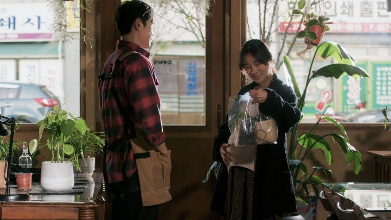 Plant Cafe, Warmth backdrop