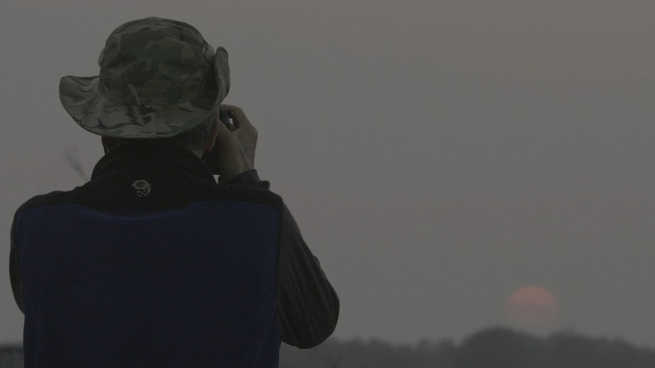 Seven Ages of A Man backdrop