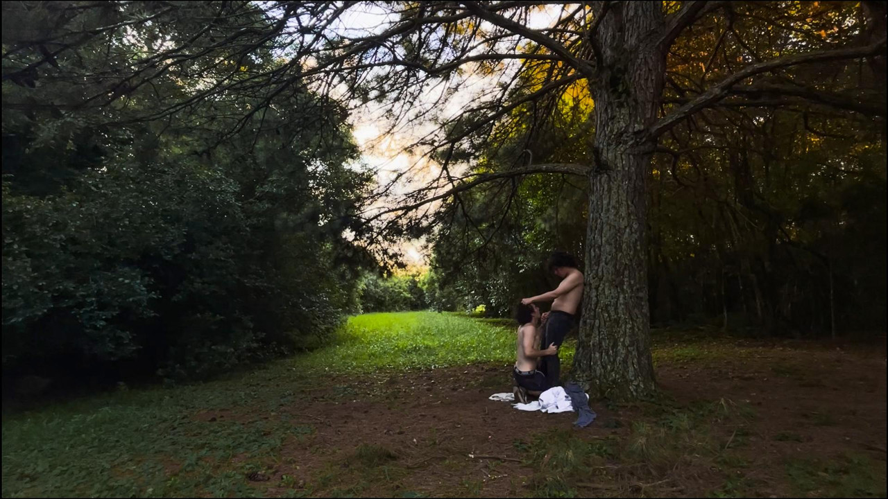 Melancolya Canybal backdrop