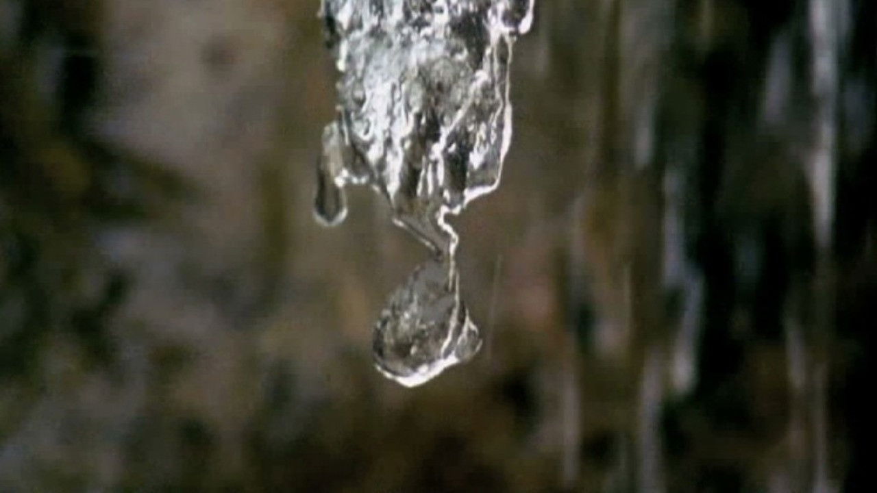 White Noise backdrop