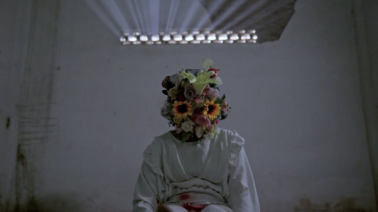 Midnight Sun backdrop