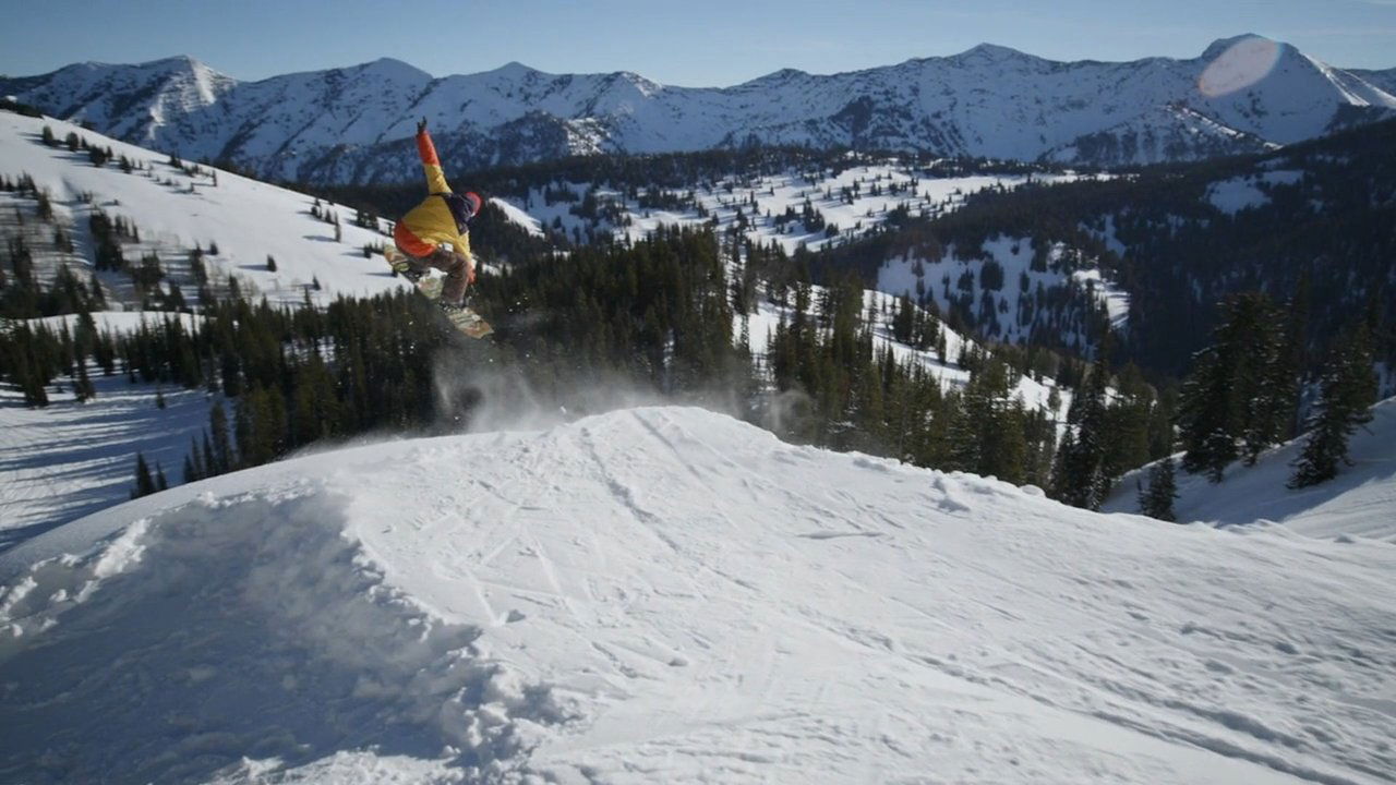 Paradise Waits backdrop