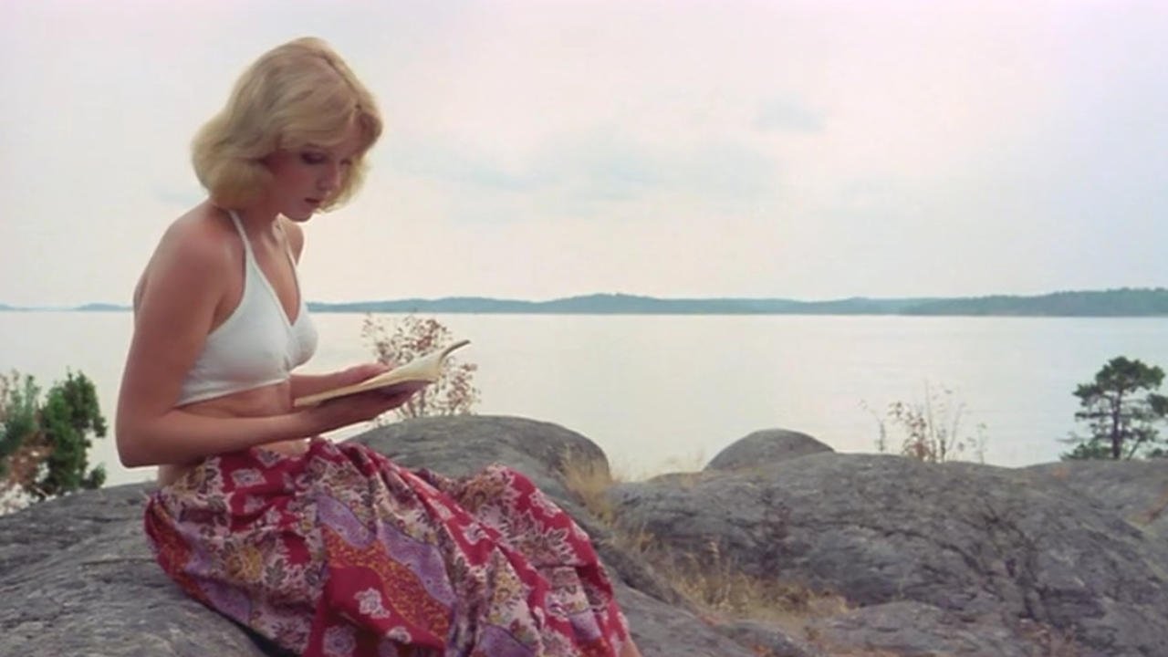 Laura's Toys backdrop