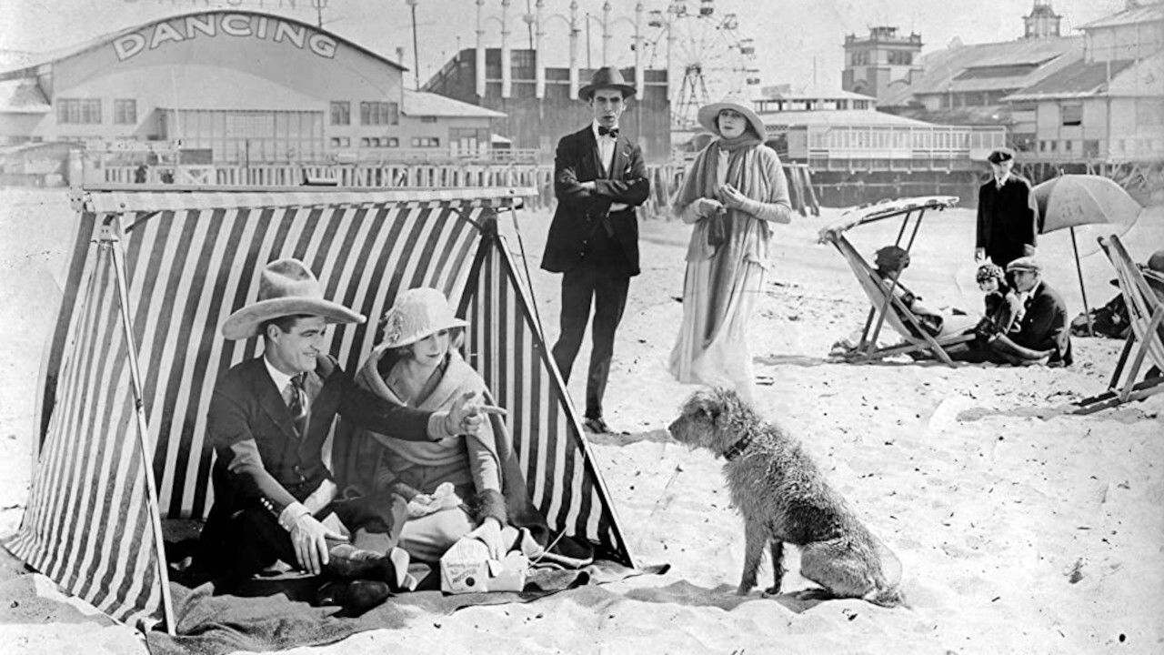 Desert Love backdrop