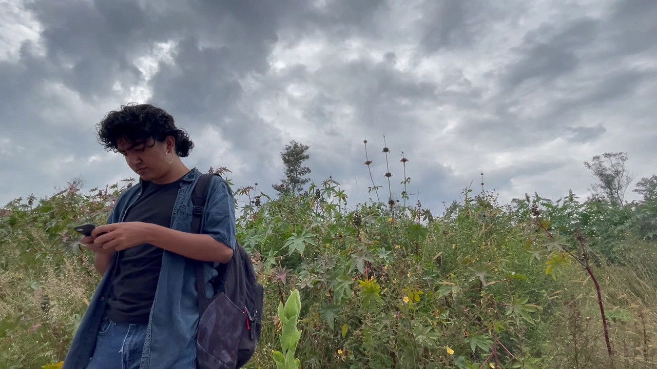 me disgregué backdrop