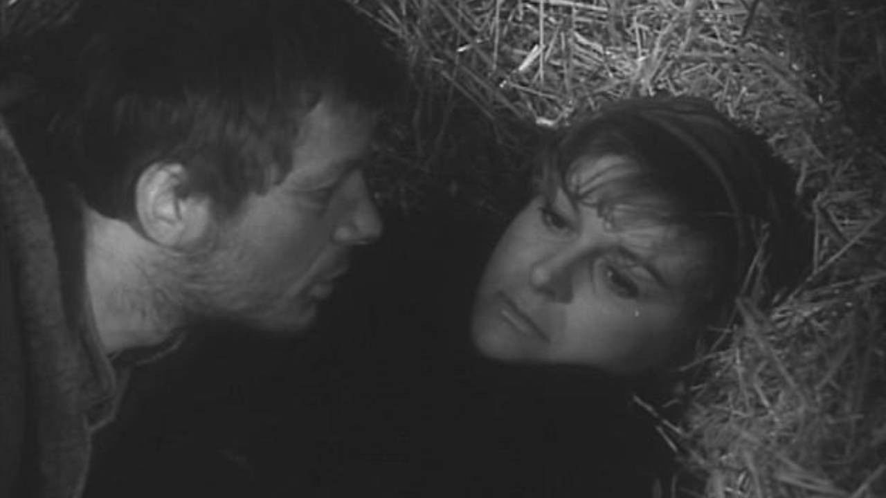 In a Remote Homestead backdrop