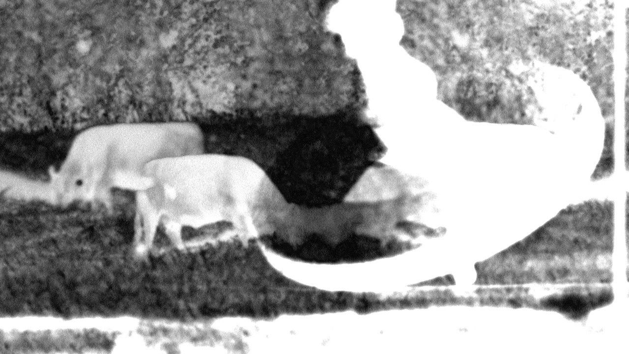 A Formal Explanation of the Experience of Witnessing "blue" backdrop