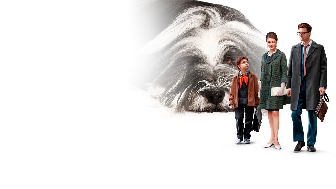 Everyone Dreams of a Dog backdrop