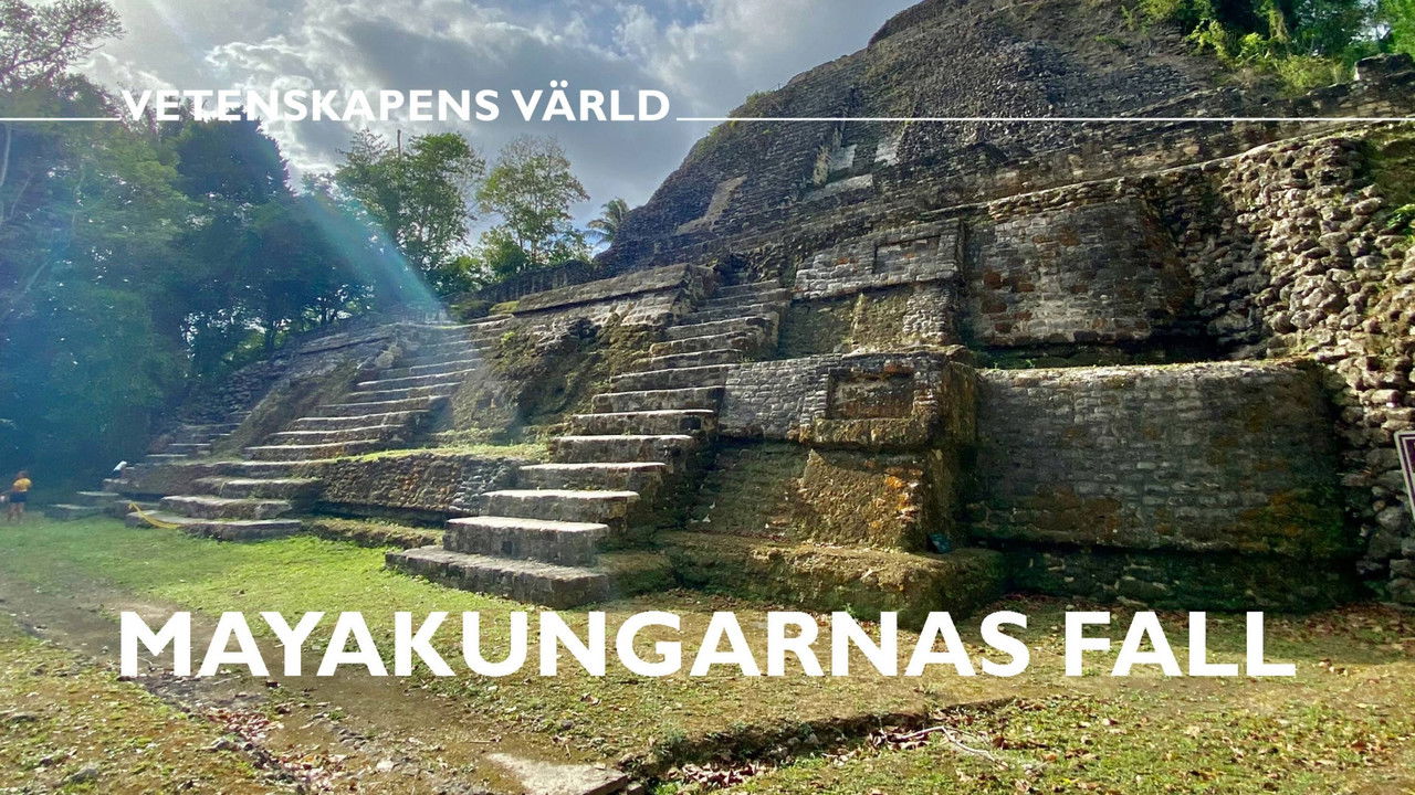 Mayakungarnas fall backdrop