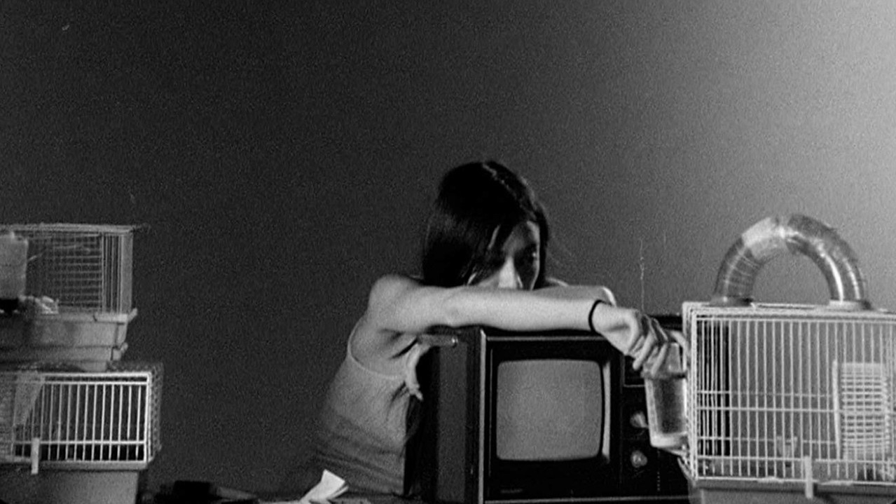 Letters to Paul Morrissey backdrop