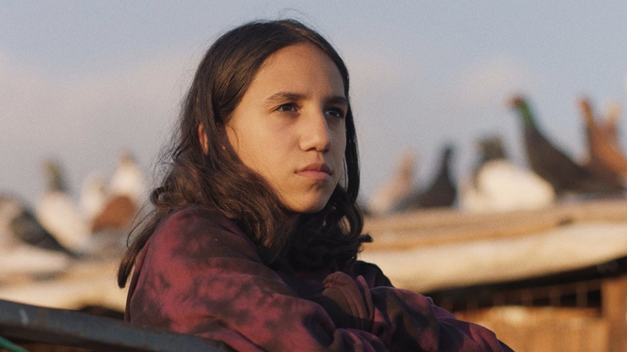 Palestine Islands backdrop