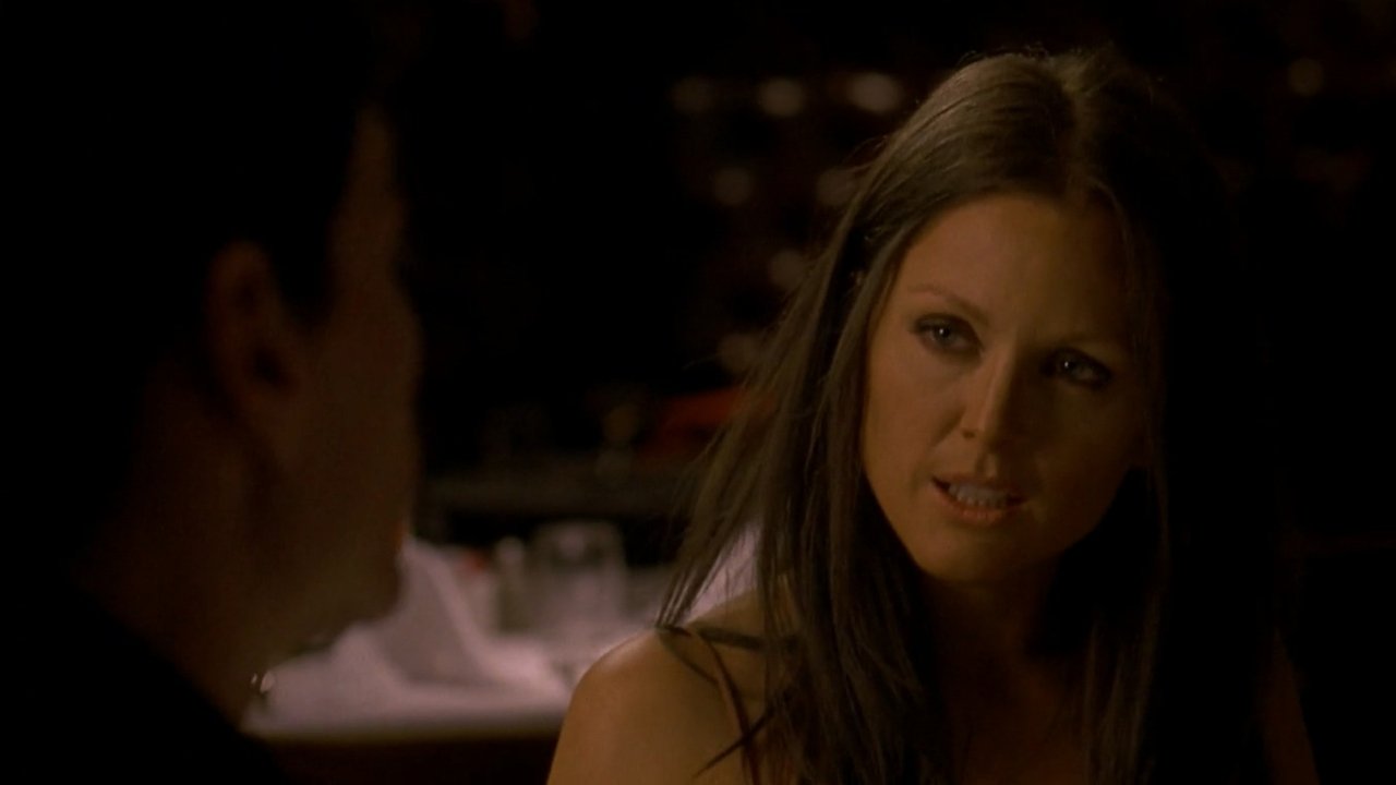 World Traveler backdrop