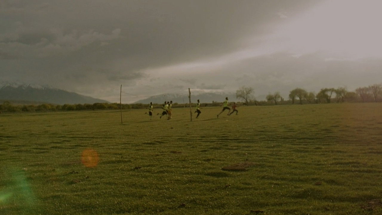 The Green Field backdrop