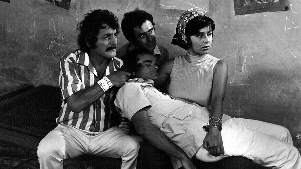 Malteses, Burgueses e às Vezes... backdrop