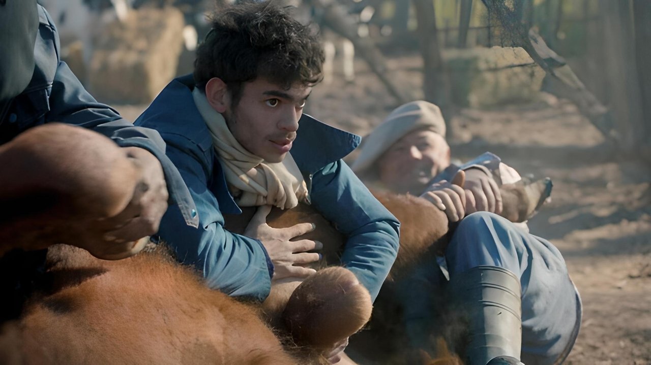 Slaughterhouse backdrop