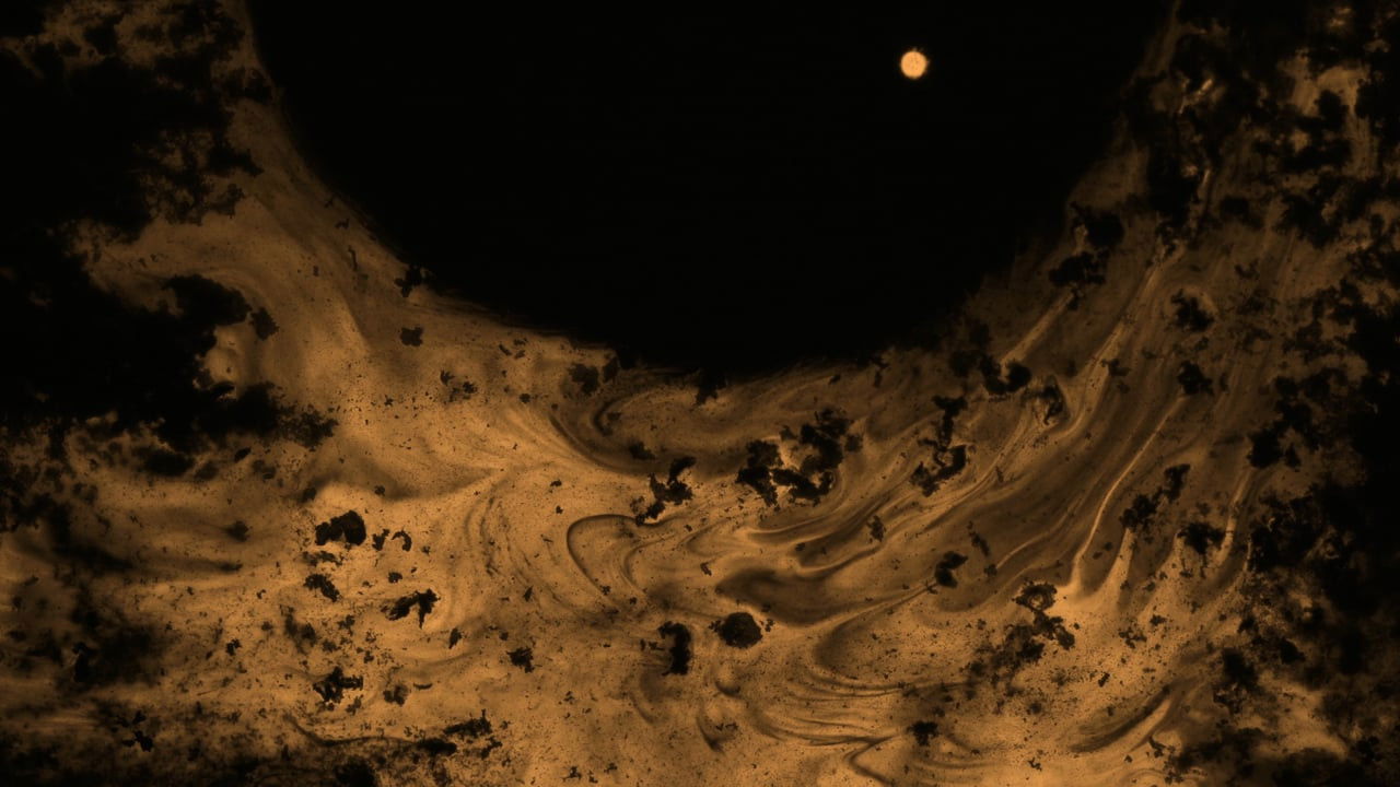 Under The Sun backdrop